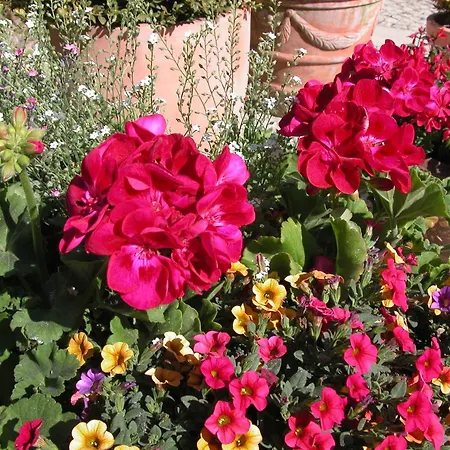 Haus Sonneneck 2 Appartement Dierhagen